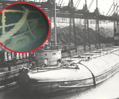 Miała być niezatapialna, ale zatonęła. Sensacyjne odkrycie wraku barki sprzed 120 lat