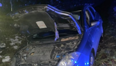 Miała ponad 3 promile i wpadła do rowu. Tłumaczyła, że wypiła jeden kieliszek 