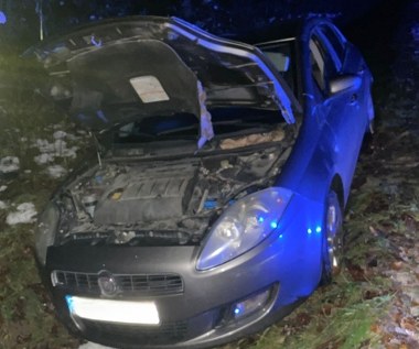 Miała ponad 3 promile i wpadła do rowu. Tłumaczyła, że wypiła jeden kieliszek 