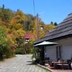 Miasto Aniołów jesienią nabiera nowego wyrazu. Niecałą godzinę drogi od Krakowa