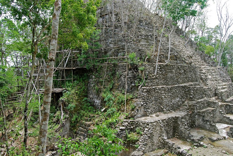 Miasto El Mirador odkryto jeszcze w XX wieku. Uznawane jest za jedno z najważniejszych miejsc rozwoju cywilizacji Majów. Nowe odkrycie może jednak świadczyć, że jego region był bardziej rozwinięty niż wcześniej zakładano i przypominał prawdziwe państwo /Geoff Gallice /Wikipedia