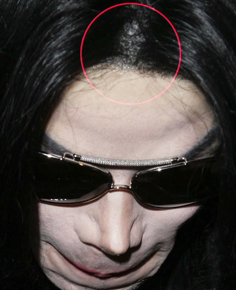 Michael Jackson nosił perukę /Dave Hogan /Getty Images