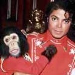 Michael Jackson znęcał się nad małpami?
