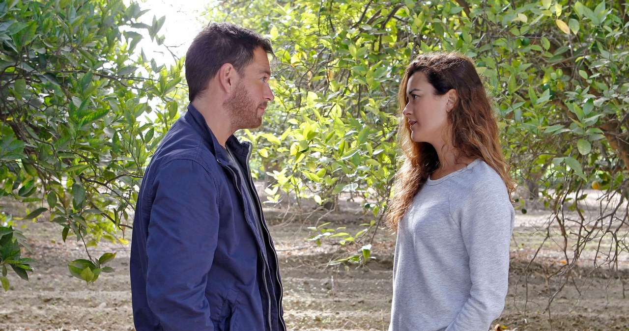 Michael Weatherly (Tony), Cote de Pablo (Ziva) /SONJA FLEMMING/CBS /Getty Images