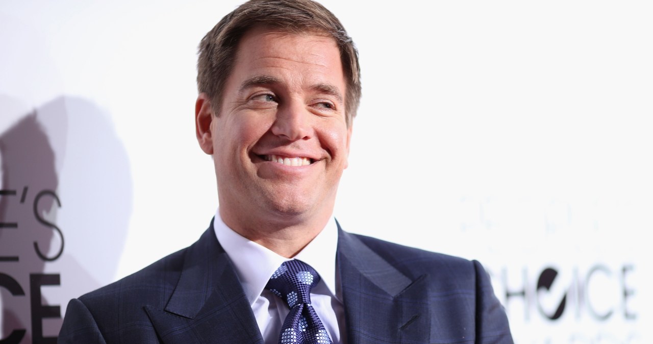 Michael Weatherly /Christopher Polk /Getty Images