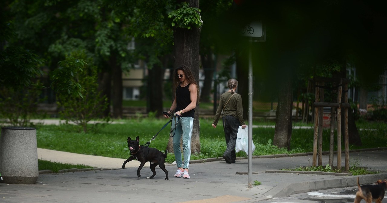 Michał Szpak z psem /Marcin Wziontek /East News