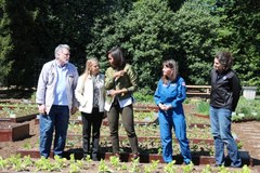 Michelle Obama sadzi warzywa w ogródku przy Białym Domu