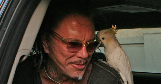 Mickey Rourke &nbsp; /Splashnews