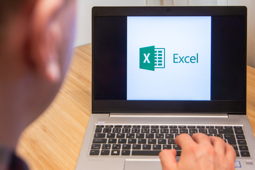 Microsoft Excel /123RF/PICSEL