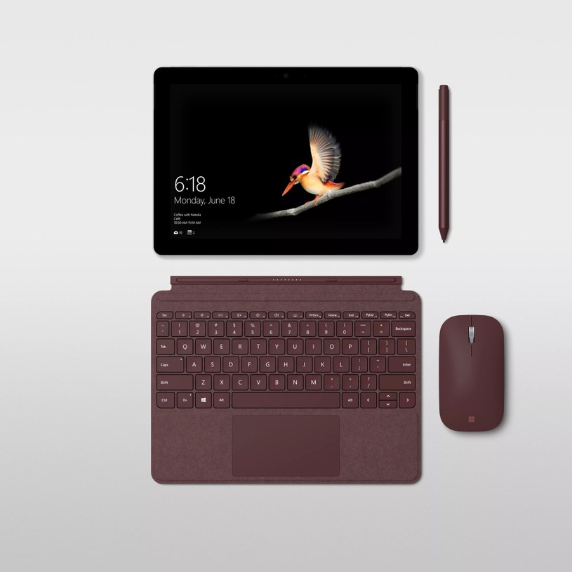 Microsoft Surface Go /materiały prasowe