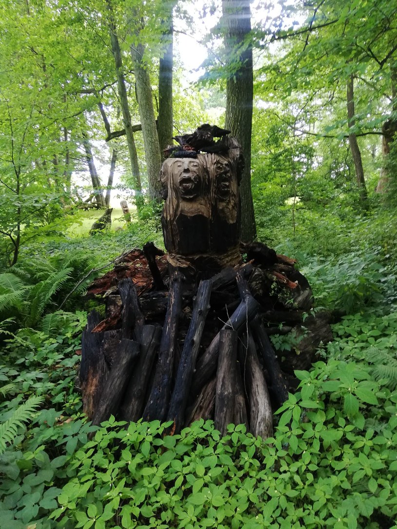 Między drzewami ukryte są rzeźby prehistorycznych bogiń i wiedźm /Gabriela Kurcz /INTERIA.PL