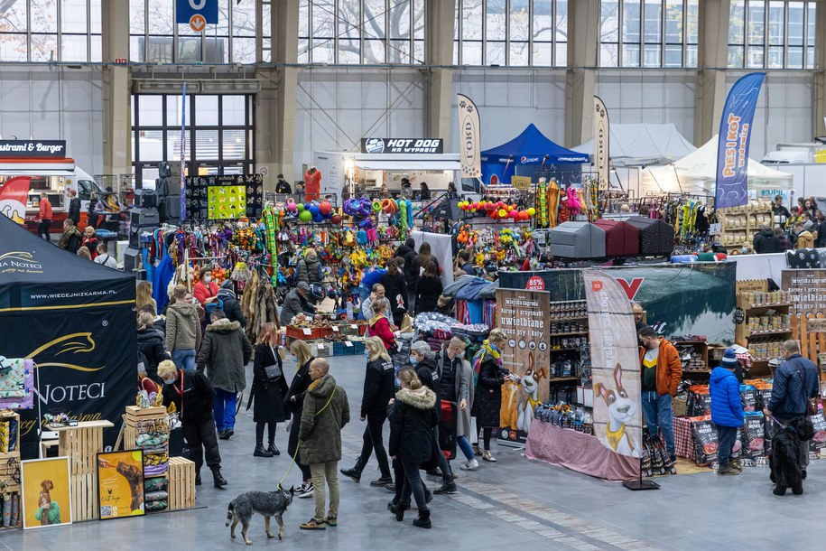 Międzynarodowa Wystawa Psów Rasowych w Poznaniu w 2021 roku /Paweł Jaskółka /PAP