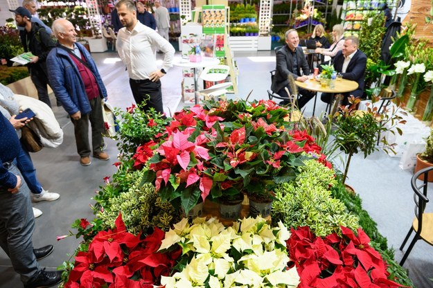 Międzynarodowe Targi Ogrodnictwa i Architektury Krajobrazu Gardenia /Jakub Kaczmarczyk /PAP