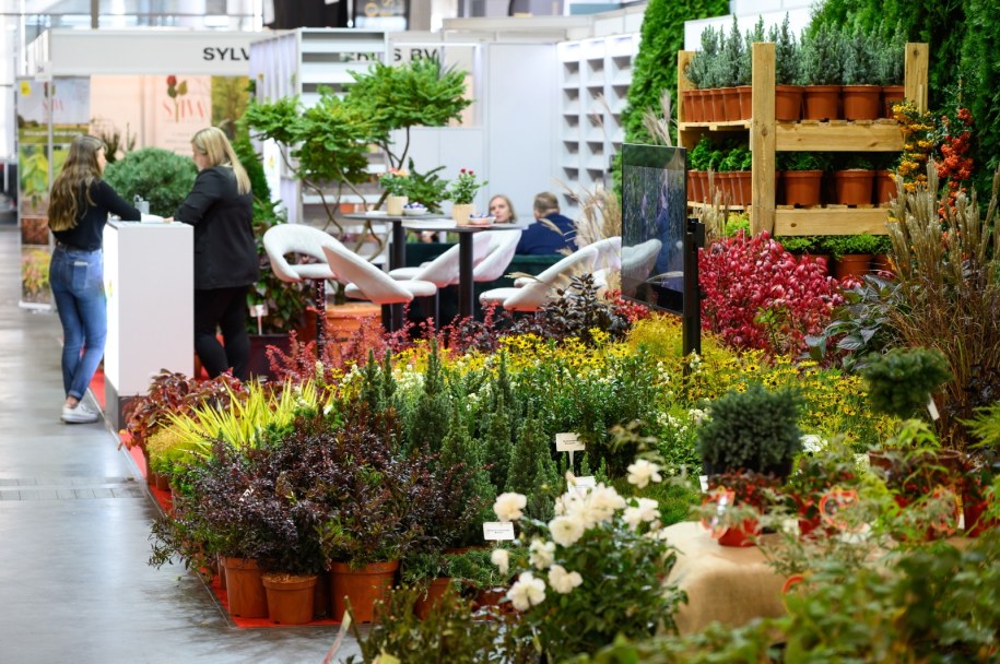 Międzynarodowe Targi Ogrodnictwa i Architektury Krajobrazu Gardenia /	Jakub Kaczmarczyk   /PAP