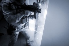 Międzynarodowy gang przemytników rozbity