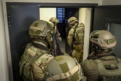 Międzynarodowy gang przemytników rozbity