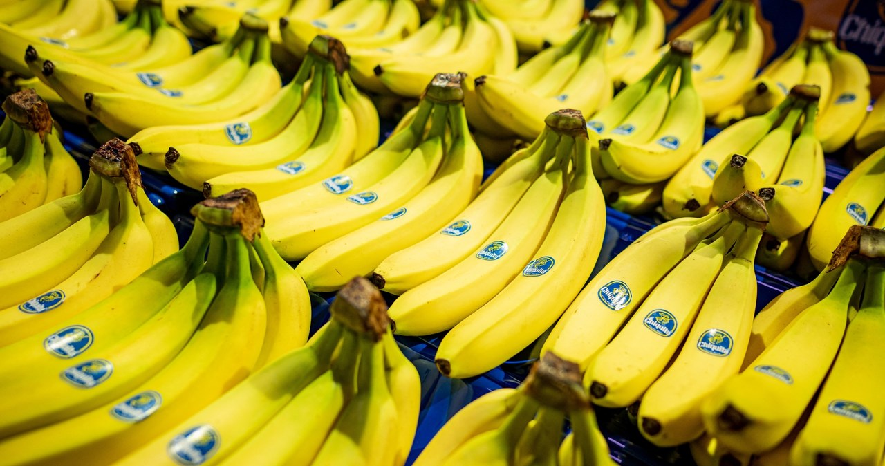 Międzynarodowy gigant Chiquita ogłosił, że stworzył nową hybrydową odmianę banana (zdj. ilustracyjne) /AFP