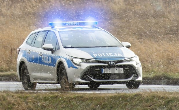 Międzynarodowy pościg zakończony na Śląsku. Złodzieje czekają na przesłuchanie