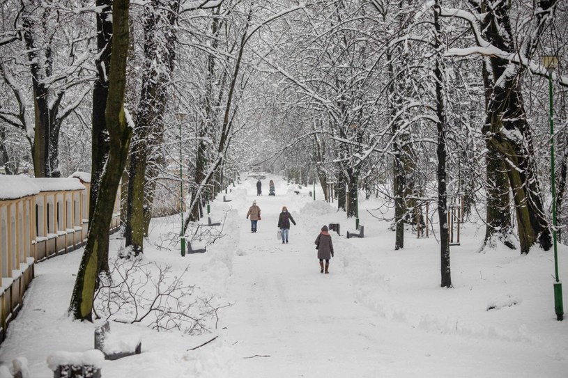 Miejscami przyrost pokrywy śnieżnej na południowym zachodzie może sięgnąć nawet 5 cm /Wojciech Wojtkielewicz/Polska Press/East News /East News