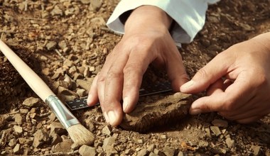 Miejsce egzekucji skrywało mroczne sekrety. Teraz archeolodzy je odkryli