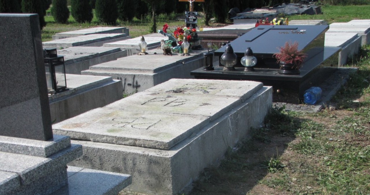 Miejsce ekshumacji Zbigniewa Wassermanna - cmentarz na krakowskich Bielanach