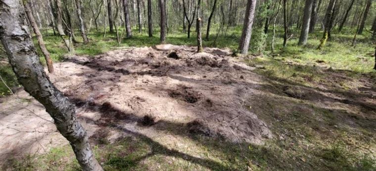 Miejsce, gdzie w lesie znaleziono szczątki rakiety Ch-55 /Beniamin Piłat /RMF FM