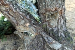 Miejsce katastrofy pół roku później