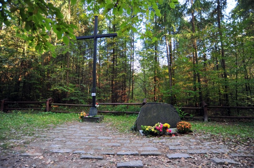 Miejsce katastrofy w Lesie Kabackim i pomnik ofiar. /LECH GAWUC/REPORTER /East News