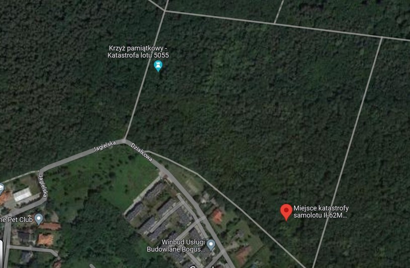 Miejsce katastrofy w Lesie Kabackim. /Google Maps /materiał zewnętrzny