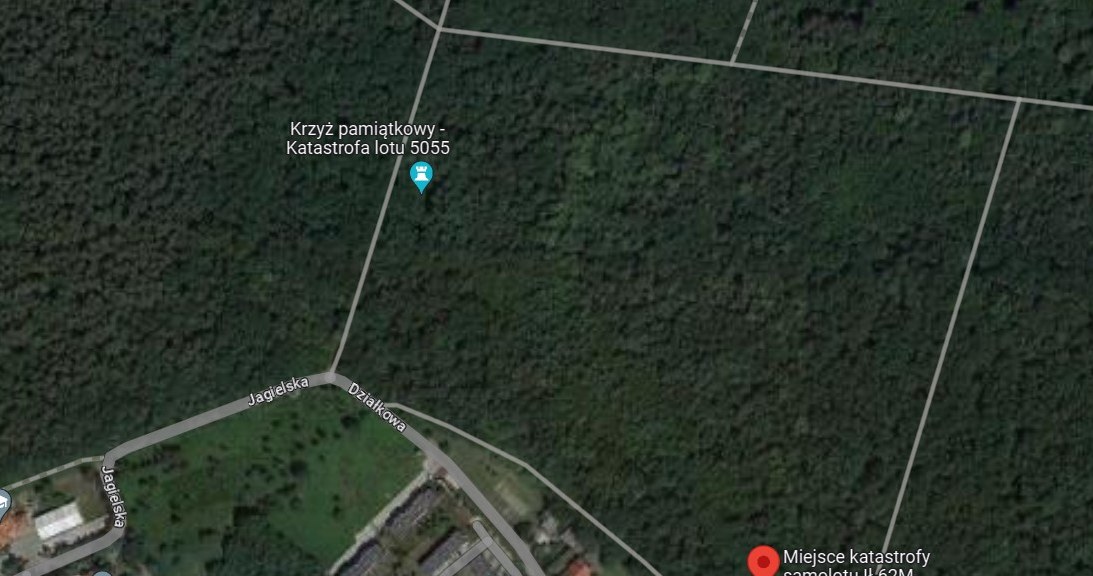 Miejsce katastrofy w Lesie Kabackim. /Google Maps /materiał zewnętrzny