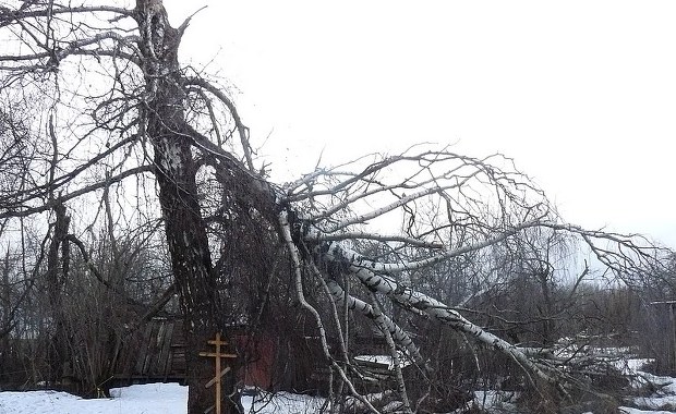 Miejsce katastrofy w Smoleńsku: Prywatna działka, na której powstaje gazociąg