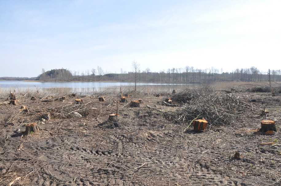 Miejsce nielegalnej wycinki drzew. /KPP Giżycko /Policja