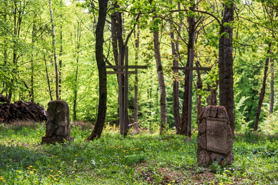 Miejsce pochówku polskich ofiar zbrodni wołyńskiej w Puźnikach /Vladyslav Musiienko /PAP