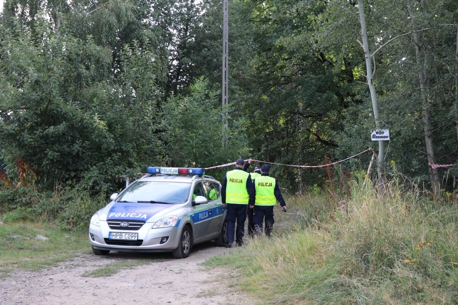 Miejsce poszukiwań "złoty pociąg" /Jacek Skóra /RMF FM