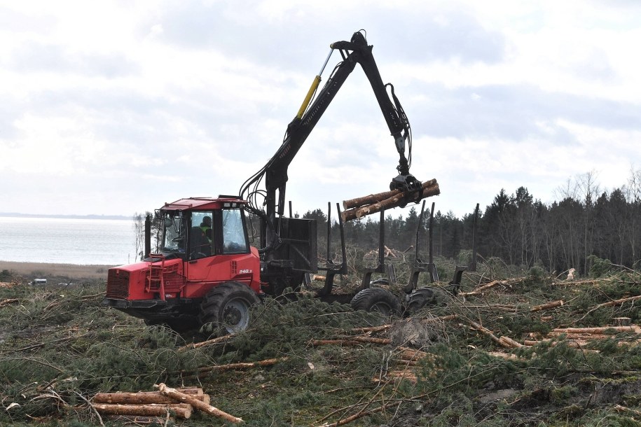 Miejsce prowadzenia prac przygotowawczych do inwestycji /Marcin Gadomski /PAP