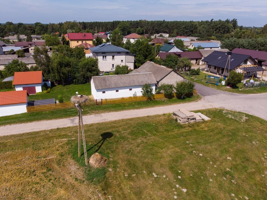 Miejsce sobotniego śmiertelnego ataku psów w miejscowości Skarbiciesz /Bartłomiej Wójtowicz /PAP