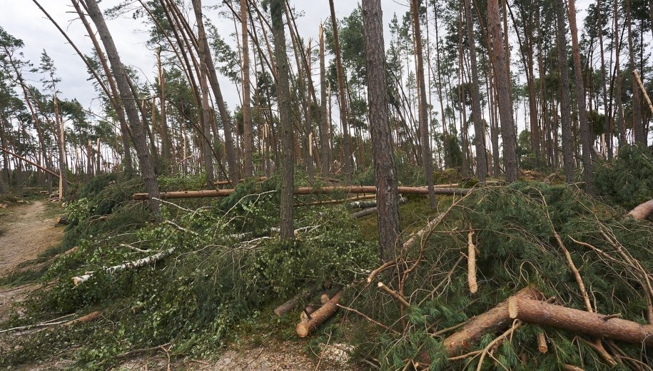 Miejsce tragedii w Suszku /Dominik Kulaszewicz /PAP