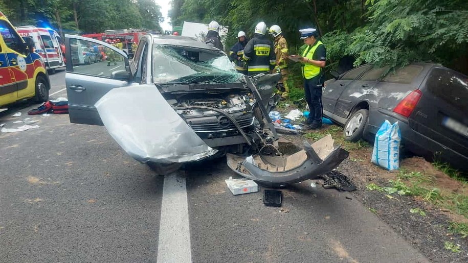 Miejsce tragicznego wypadku na drodze krajowej nr 11 w okolicach miejscowości Budzyń /	PAP/KPP Chodzież /
