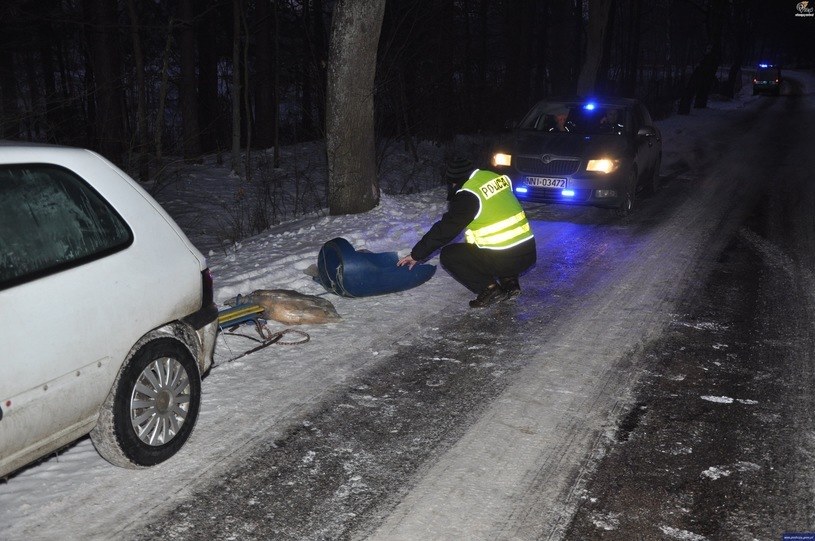 Miejsce tragicznego wypadku /Policja