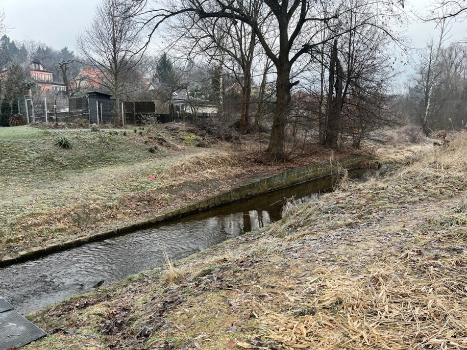 Miejsce, w którym doszło do zbrodni /Martyna Czerwińska /RMF FM