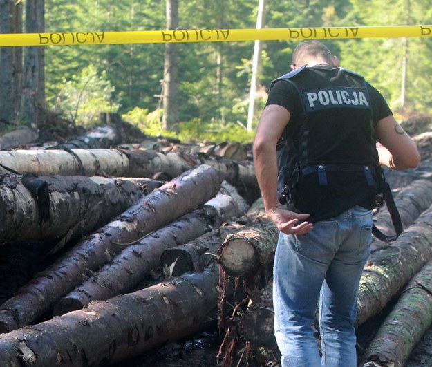 Miejsce, w którym znaleziono ciało 16-latka /Grzegorz Momot /PAP