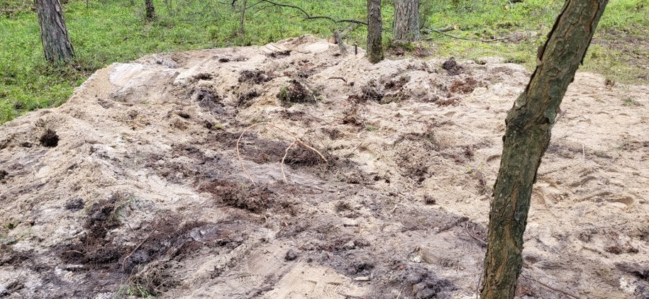 Miejsce w lesie pod Bydgoszczą, gdzie znaleziono rosyjski pocisk /Beniamin Piłat /Archiwum RMF FM