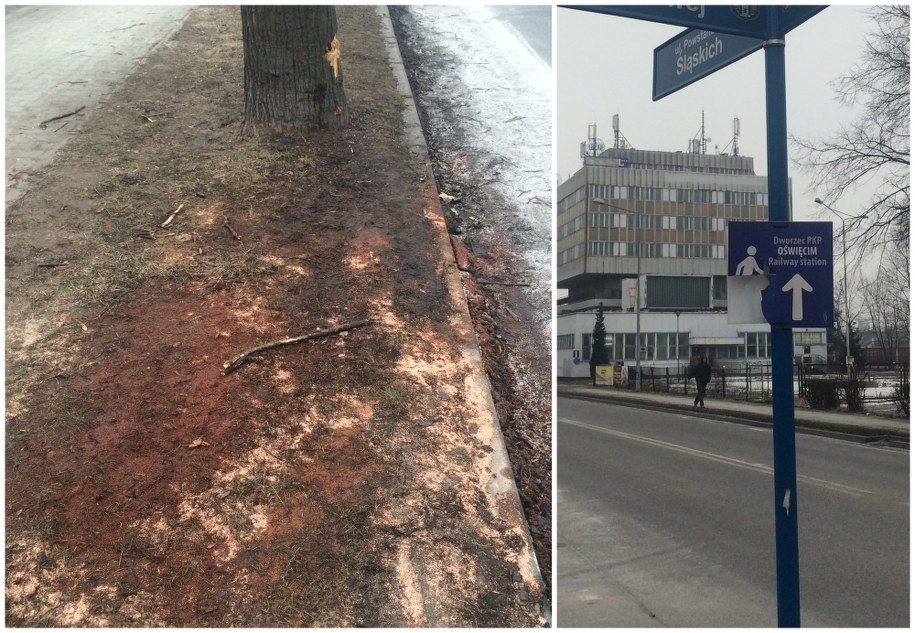 Miejsce wypadku limuzyny premier Szydło /Marcin Buczek /Archiwum RMF FM