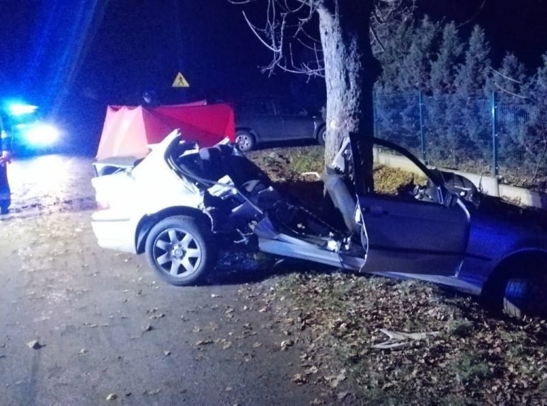 Miejsce wypadku z udziałem 24-letniego kierowcy /Komenda Powiatowa Policji w Sieradzu /materiały prasowe