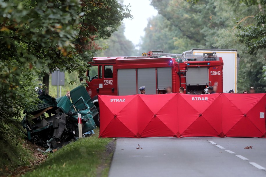 Miejsce wypadku /Roman Zawistowski /PAP