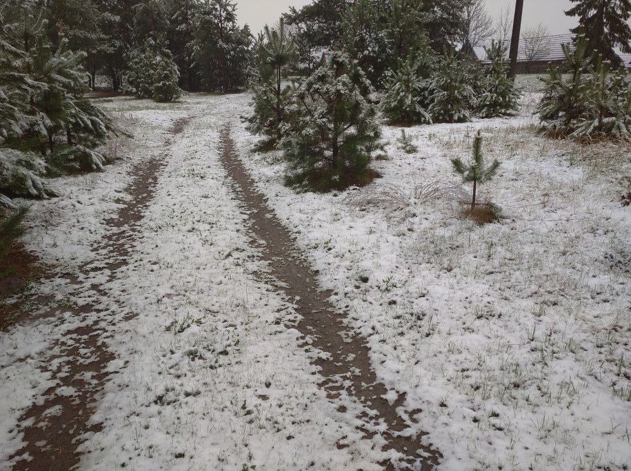 Miejscowość Łosiniec w powiecie Tomaszów Lubelski /pan Bogdan /Gorąca Linia RMF FM
