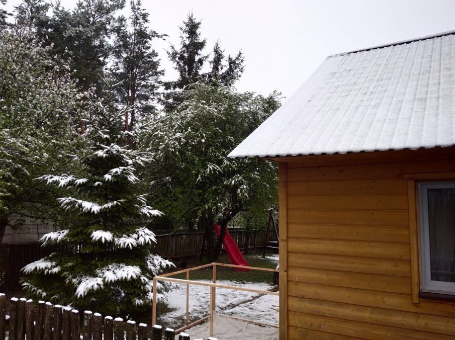 Miejscowość Łosiniec w powiecie Tomaszów Lubelski /pan Bogdan /Gorąca Linia RMF FM