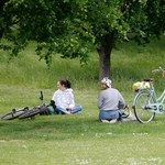 Miejskie rowery na zakręcie. Branża podsumowuje sezon