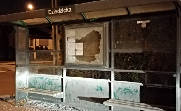 Mieli jeździć po Poznaniu bmw i strzelać z pistoletu pneumatycznego. Policja zatrzymała dwóch mężczyzn