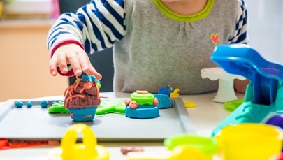 Mieli wyłudzić pół miliona euro unijnych dotacji na żłobki. 9 zatrzymanych